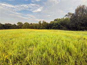 Lot 10 Wilson Road - Photo 3
