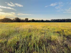 Lot 10 Wilson Road - Photo 8