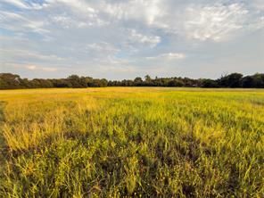 Lot 11 Wilson Road - Photo 7
