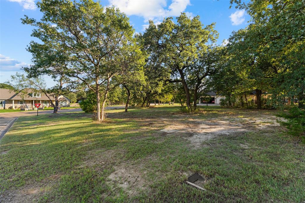 1027 Dominion Oaks Drive - Photo 2