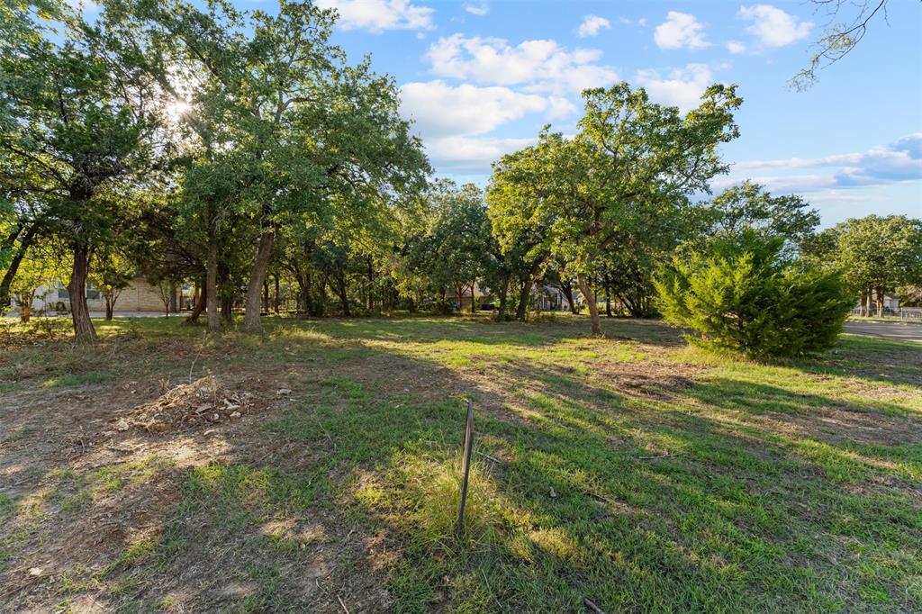 1027 Dominion Oaks Drive - Photo 3