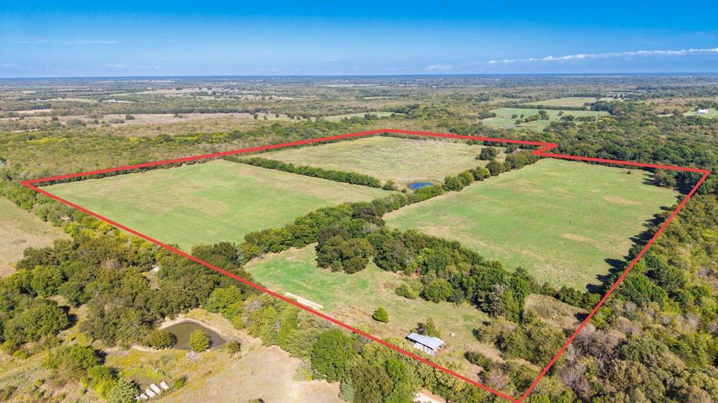 88 Acres County Road 1019 - Photo 1
