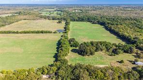 88 Acres County Road 1019 - Photo 10
