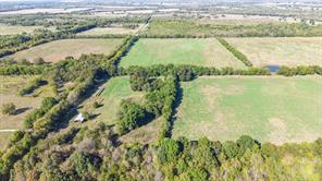 88 Acres County Road 1019 - Photo 13
