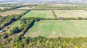 88 Acres County Road 1019 - Photo 14