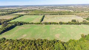 88 Acres County Road 1019 - Photo 15