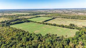 88 Acres County Road 1019 - Photo 16