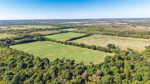 88 Acres County Road 1019 - Photo 17