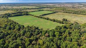 88 Acres County Road 1019 - Photo 18