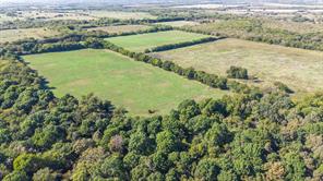 88 Acres County Road 1019 - Photo 19
