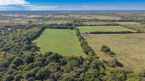 88 Acres County Road 1019 - Photo 20