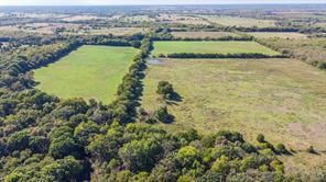88 Acres County Road 1019 - Photo 21