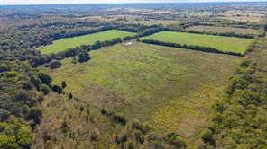 88 Acres County Road 1019 - Photo 22