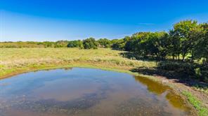 88 Acres County Road 1019 - Photo 25