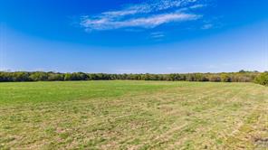 88 Acres County Road 1019 - Photo 26