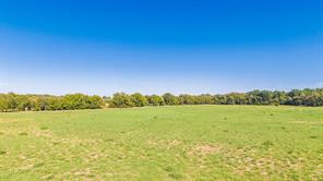 88 Acres County Road 1019 - Photo 27