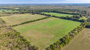 88 Acres County Road 1019 - Photo 28