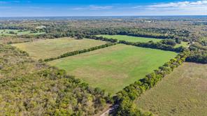 88 Acres County Road 1019 - Photo 29