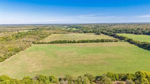 88 Acres County Road 1019 - Photo 30