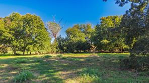 88 Acres County Road 1019 - Photo 33