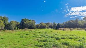 88 Acres County Road 1019 - Photo 34