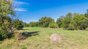 88 Acres County Road 1019 - Photo 35