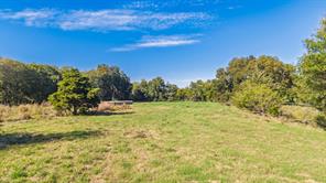 88 Acres County Road 1019 - Photo 36