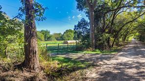 88 Acres County Road 1019 - Photo 6