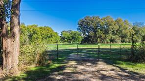 88 Acres County Road 1019 - Photo 7