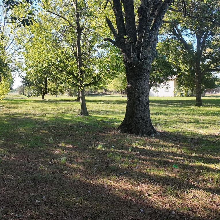 2443 County Road 2308 - Photo 17