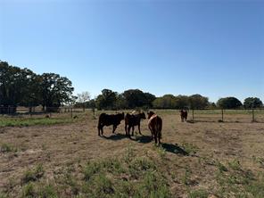 9636 Fm 3094 - Photo 14