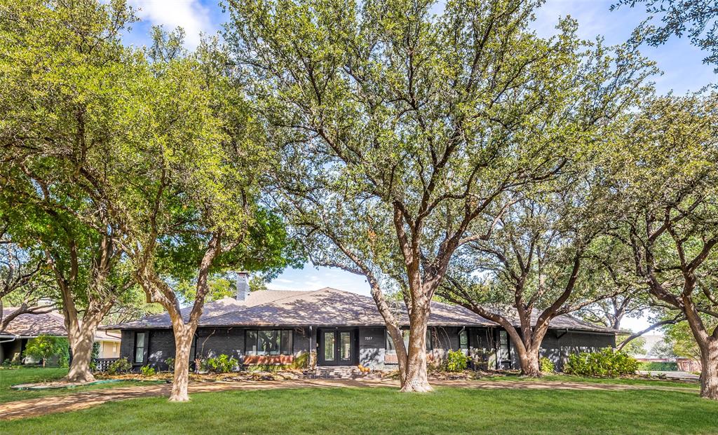 7257 Stefani Drive - Photo 1