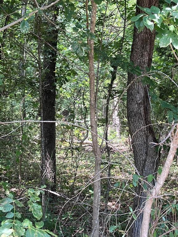 106 Red Bluff Loop - Photo 1