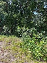 106 Red Bluff Loop - Photo 2