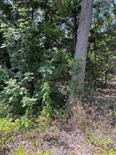 106 Red Bluff Loop - Photo 3
