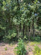 106 Red Bluff Loop - Photo 4