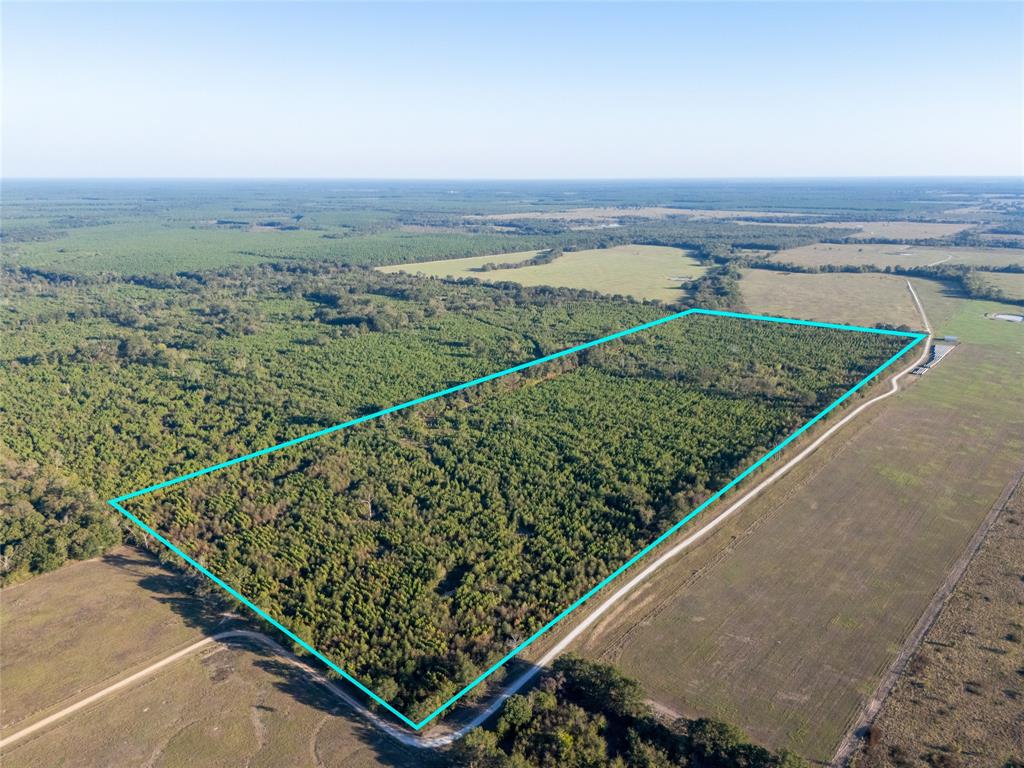 TBD S County Road 2242 - Photo 1