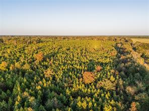 TBD S County Road 2242 - Photo 10
