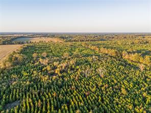 TBD S County Road 2242 - Photo 11