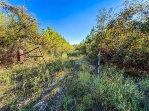TBD S County Road 2242 - Photo 16
