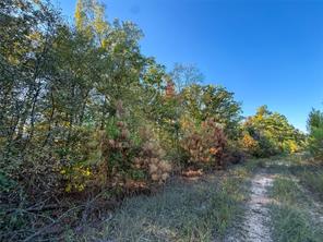 TBD S County Road 2242 - Photo 19