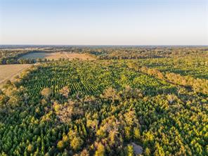 TBD S County Road 2242 - Photo 2