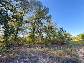 TBD S County Road 2242 - Photo 20