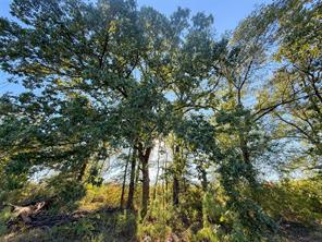 TBD S County Road 2242 - Photo 21