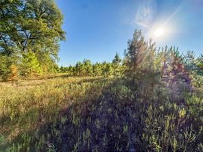 TBD S County Road 2242 - Photo 22