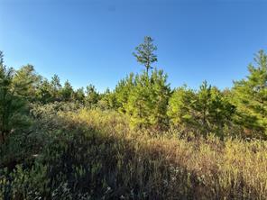 TBD S County Road 2242 - Photo 23