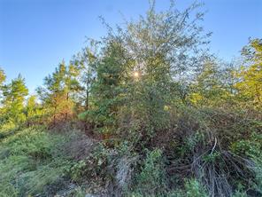 TBD S County Road 2242 - Photo 24