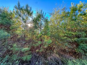 TBD S County Road 2242 - Photo 25