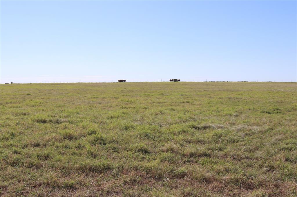 1286 Wiist Road - Photo 22