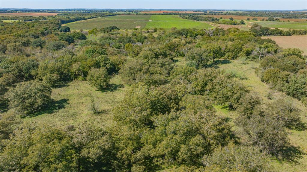 TBD County Road 340 - Photo 15